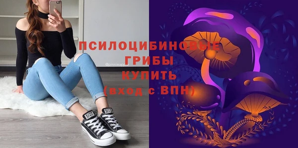 ГАЛЛЮЦИНОГЕННЫЕ ГРИБЫ Киренск