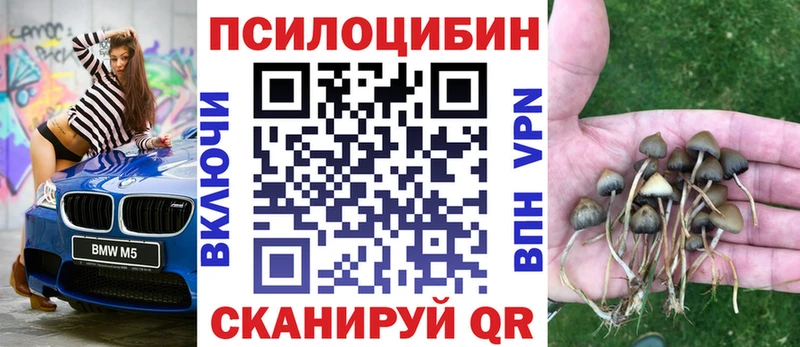 Псилоцибиновые грибы Psilocybine cubensis  Купить  Западная Двина 